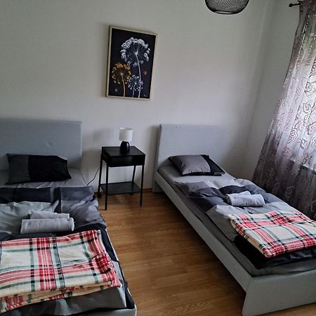 Apartament Shalom Krasic Zewnętrze zdjęcie